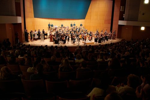 dny-31 53346845415 o