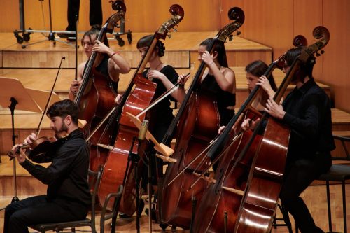 dny-42 53346630498 o