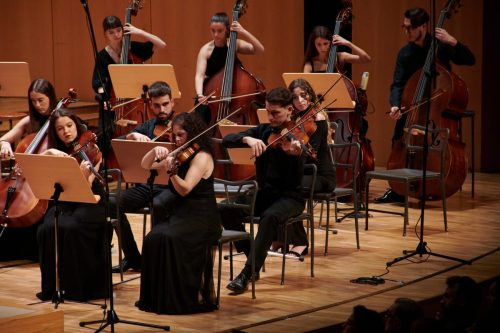 dny-55 53346624108 o